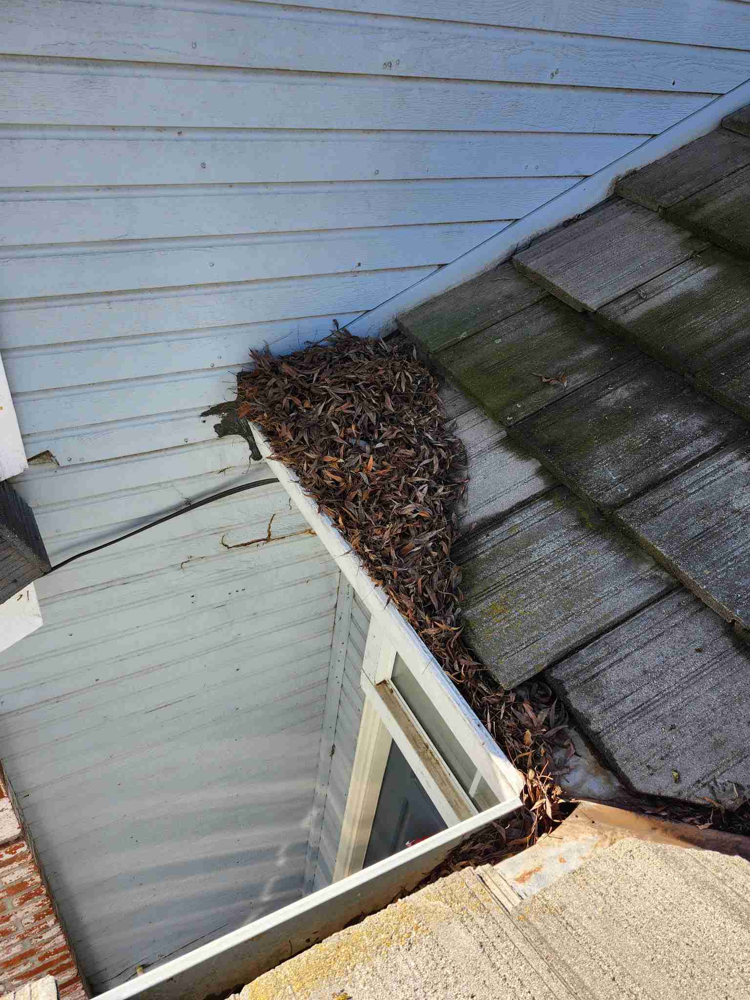 Leaves and debris piled where the roof meets the wall