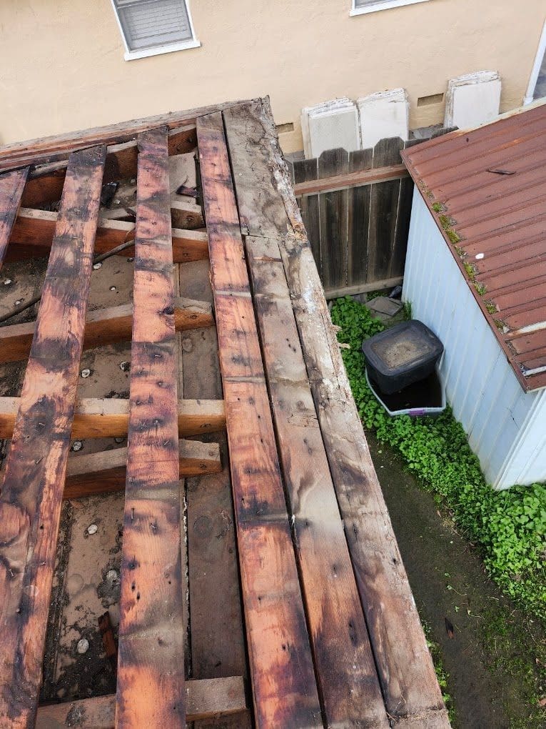 Rotted, water-damaged roof rafters found before dry rot repair